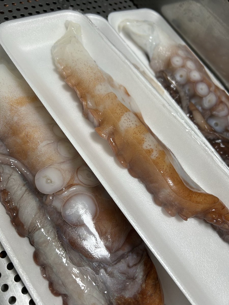 魚虎 うおとら on X