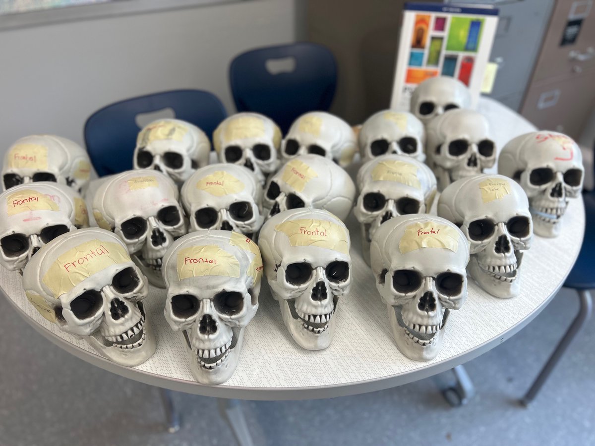 Wantagh Humanities (@wsdliteracy) on Twitter photo 