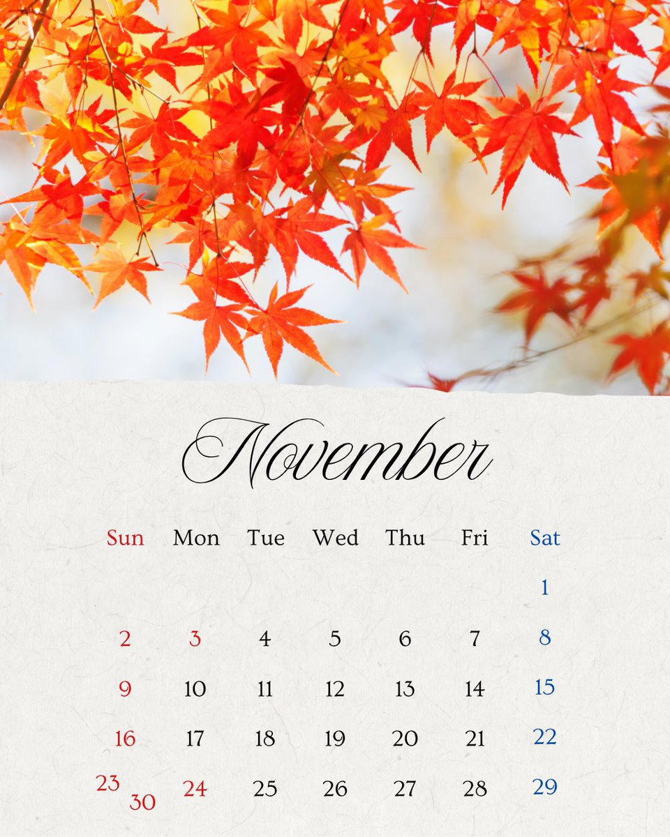 11月がスタート！
深まる秋を感じながら、2025年残り2ヶ月でできることをしっかりやっていきたいと思います🙋‍♀️