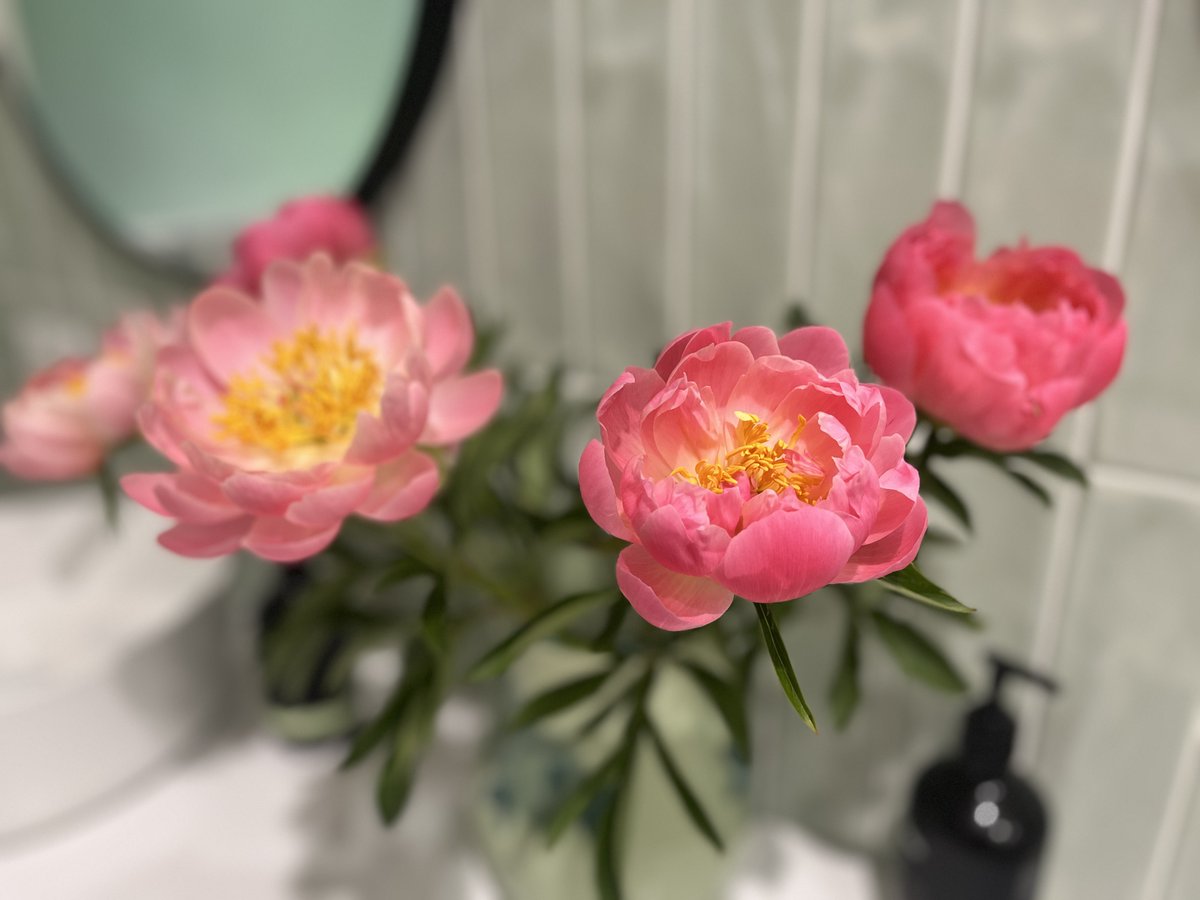 Peonies brightening the bathroom.