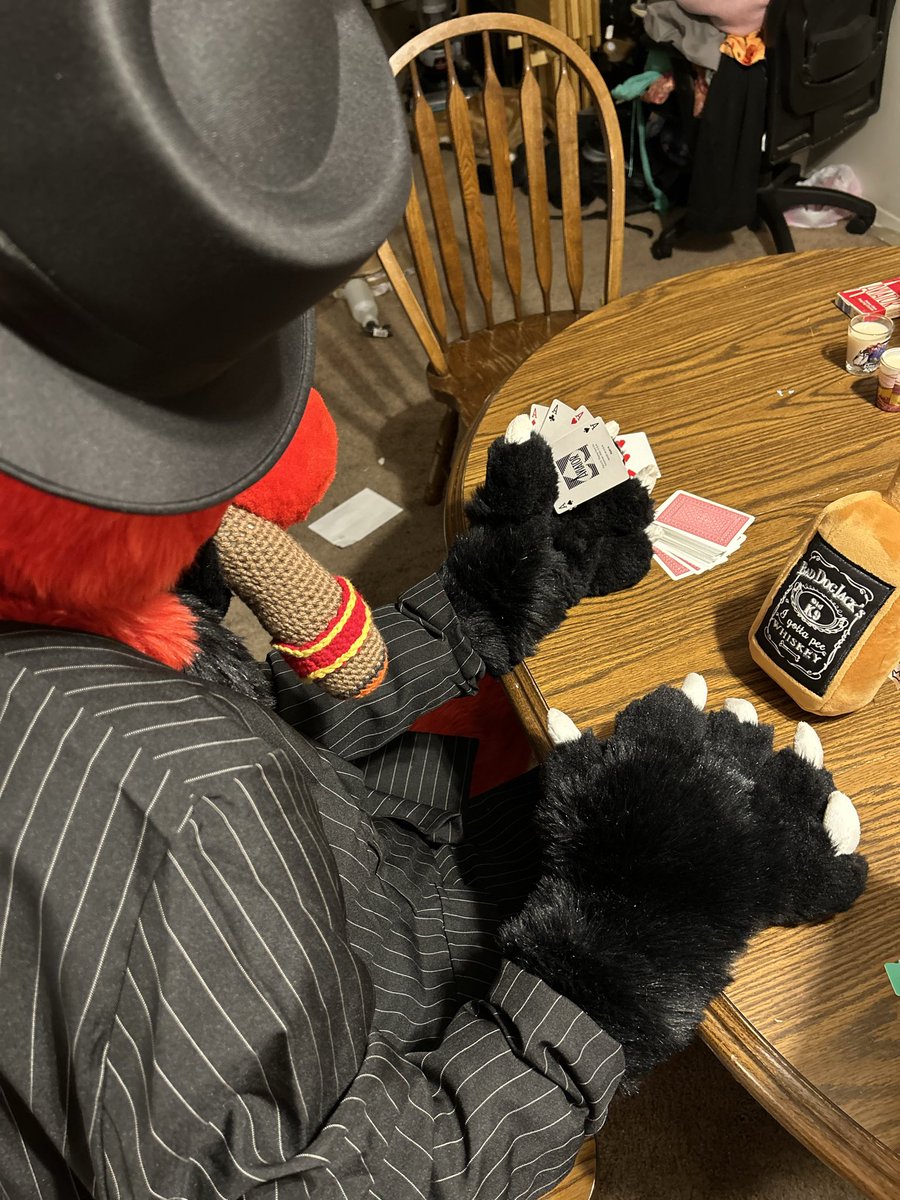 Tyler the Dragon 🔜 FURG, AC, FD! tweet media