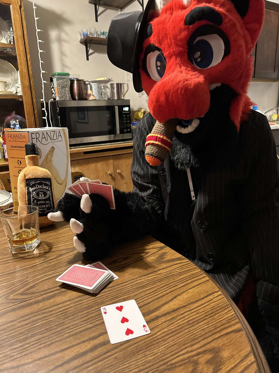 Tyler the Dragon 🔜 FURG, AC, FD! tweet media