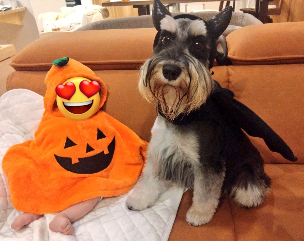 むーちゃん🫧 (@muuchan1228) / Posts / X