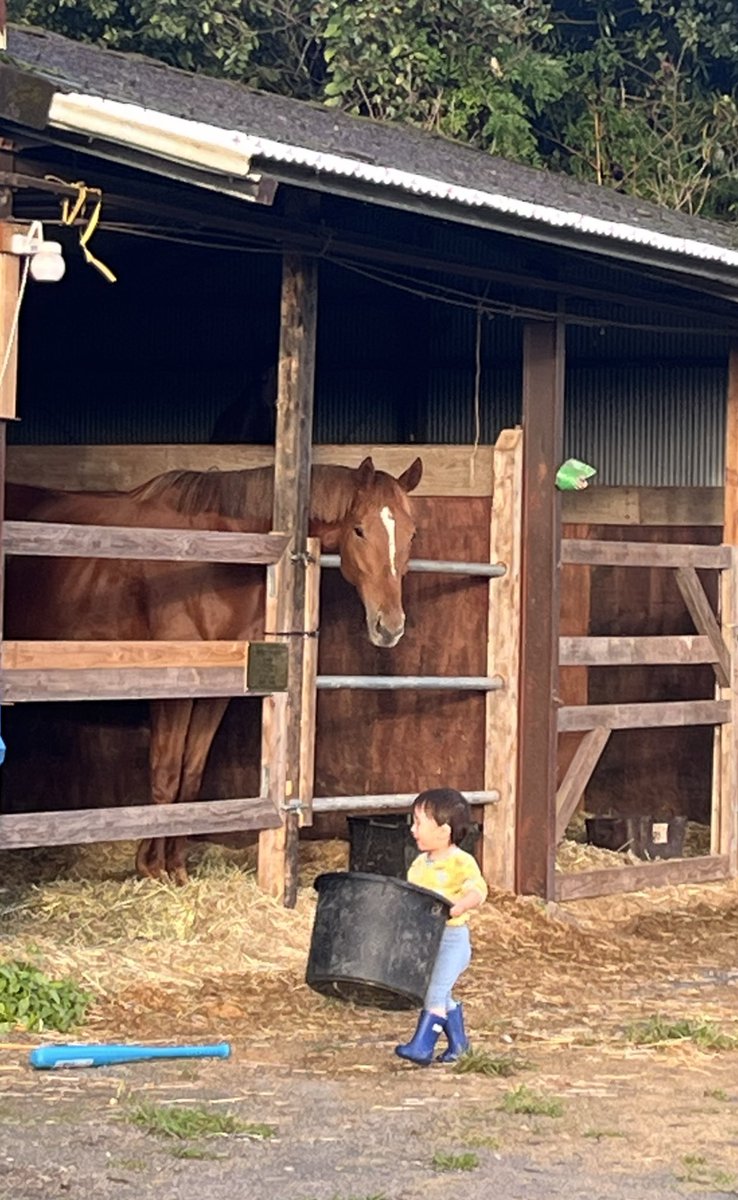 ぐるんぐるん ぐるぐる (@gurun_mk2) / Posts / X