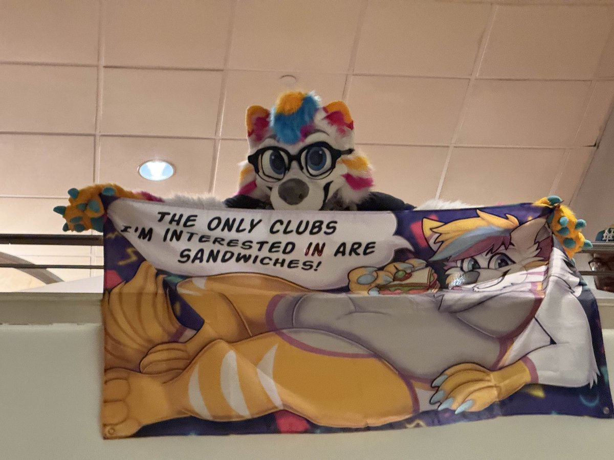 Spreading awareness at #furpoc about how delicious club sandwiches are! :3

Loving the people and the environment here for day 2. Having such an awesome blast and even got a pair of glasses too!

🪡/ 🏳️: <a href="/gooeygaster/">GooeyGasterGoodies🔜FTM 26</a> 

#fursuitfriday