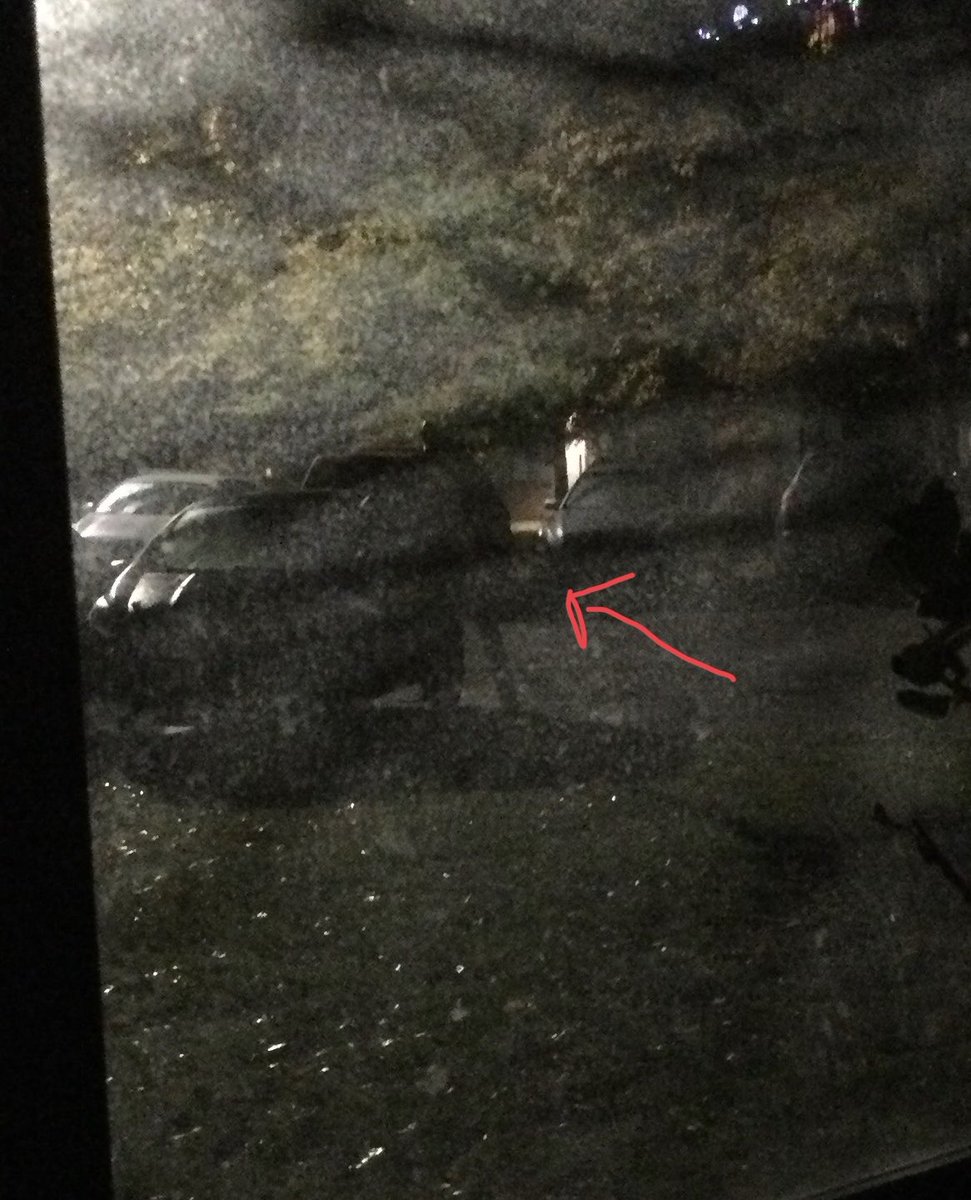 I noticed a figure outside, this morning, standing like Michael Myers. It was weird, but I figured it was someone out with their dog or being intentionally creepy for Halloween. Nope. Just a crooked sign post and the back of a car.