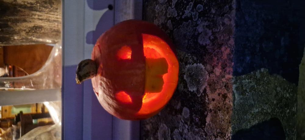 ToymaSam's tweet image. My son looks similar