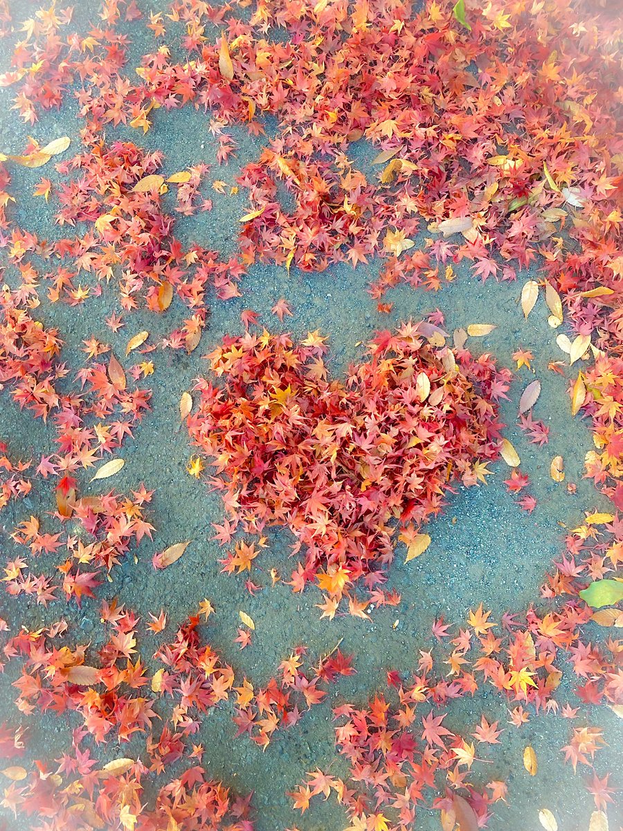 しらかばちゃん💚佐久穂町観光情報【公式】 on X