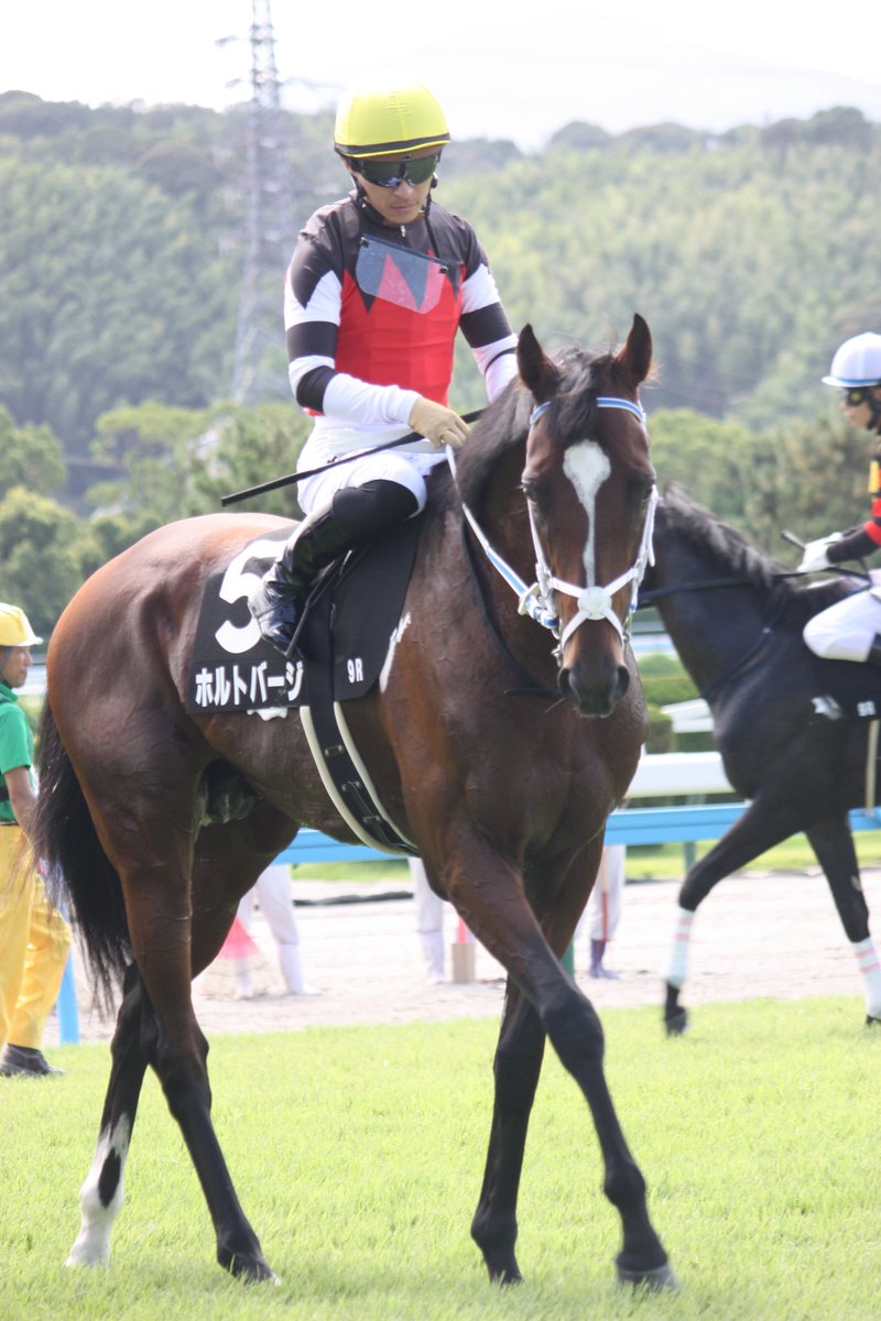 ルドルフさん (@CyberRudolf) / Posts / X