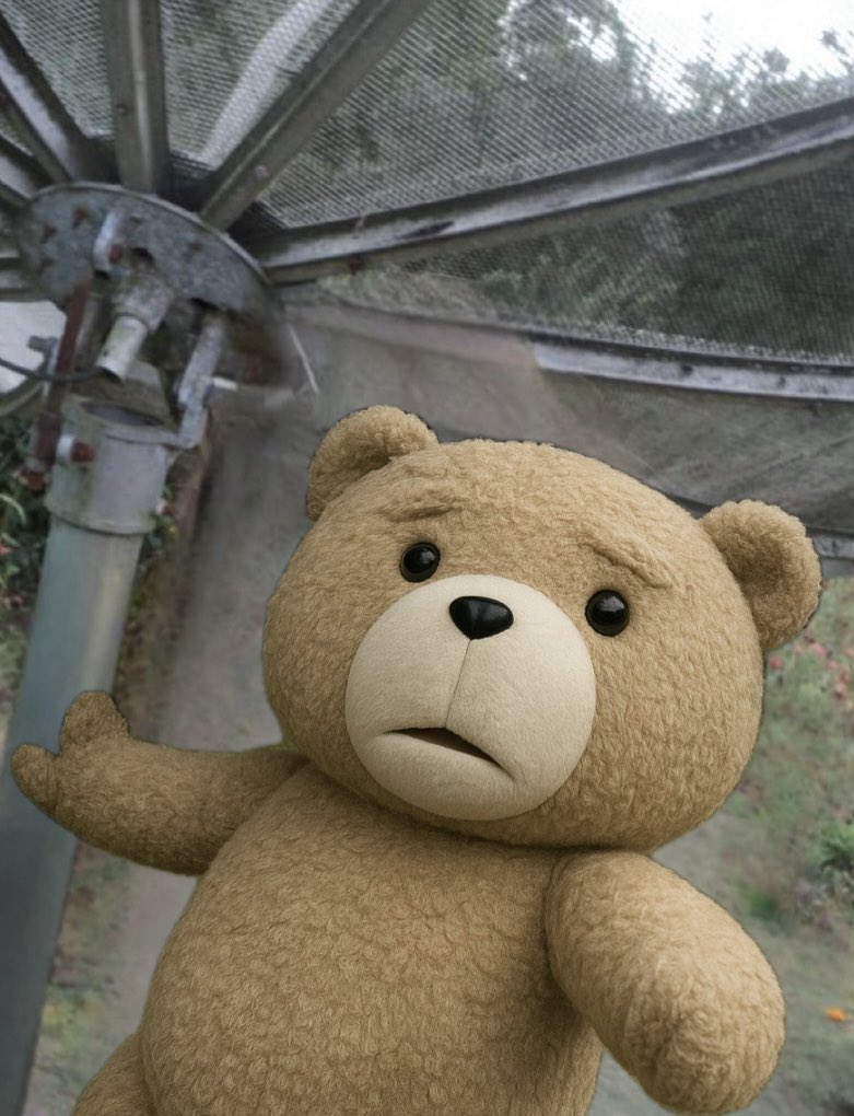 eu na antena parabolica