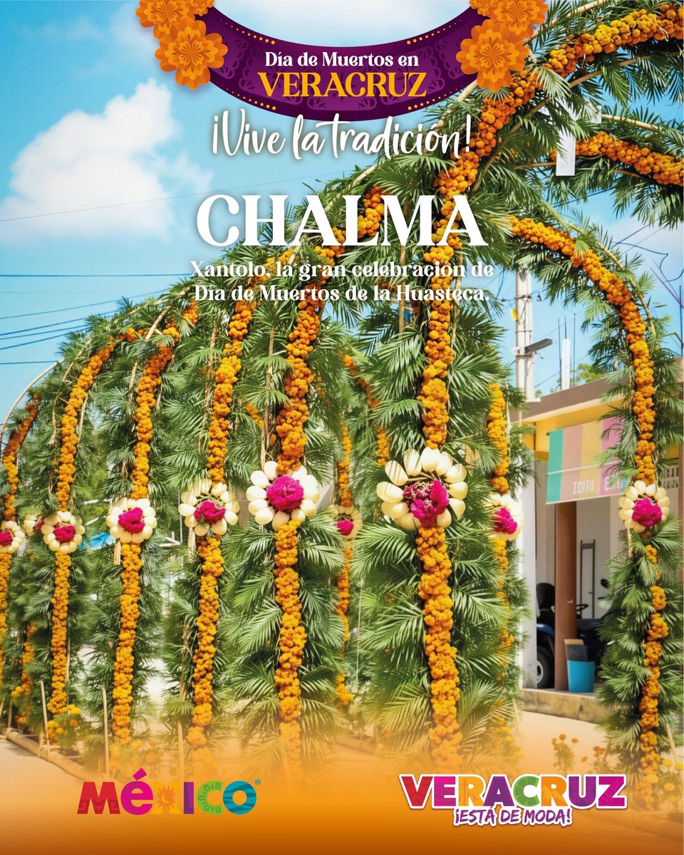 VeracruzTurismo's tweet image. 💀 ¡Vive la magia del Xantolo en Chalma!

Entre caminos de cempasúchil, velas y música que celebra la vida, 🌼🕯️🎵 descubre la calidez de su gente y los sabores de su tierra.

Una tradición que late con el corazón de Veracruz. ❤️

#VeracruzEstáDeModa ✨