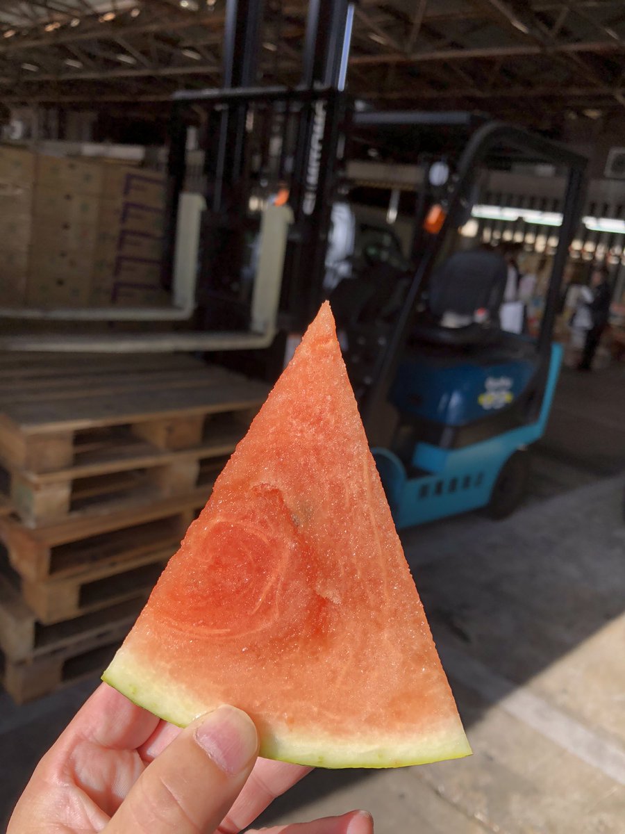 よーちゃん よーちゃんちゃん on X