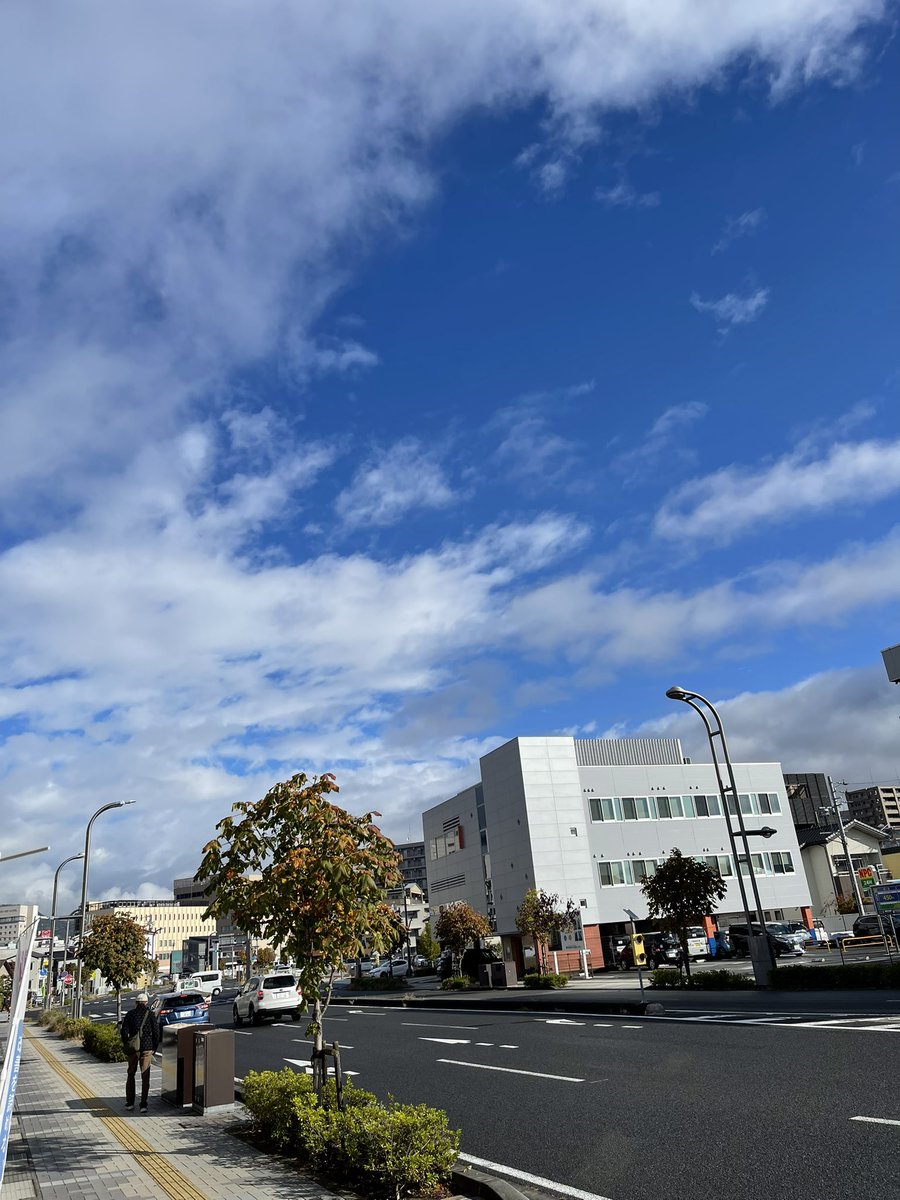 おはよう土曜日。めっちゃ晴れてきて気持ちイイですね。今日はSHION大豆島さんでスマホ相談です。10時から。時間がある人は来てくださいね。