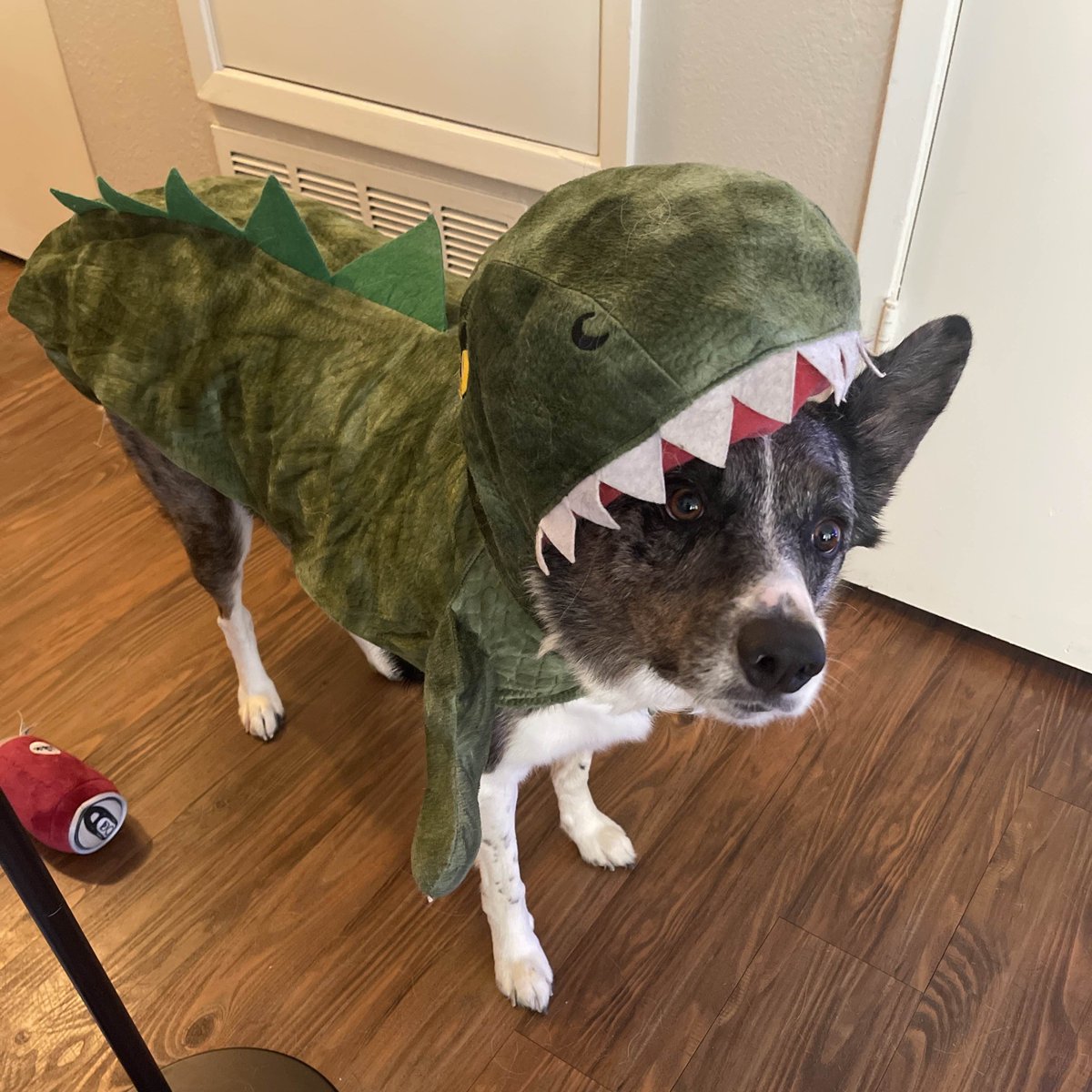 😈 [18+] 🎃 ARC Raiders Drops 👻 Taking Candy From Strangers 😈 PP push ☑️ w/ <a href="/kracky/">katherine lowe</a> ARC Raiders &amp; Handing Out Candy? ☑️ We doing the PP push ☑️ 👻 Lurk 🎃 For 👻 Me 🎃 Fam 👻
twitch.tv/ashgasm/