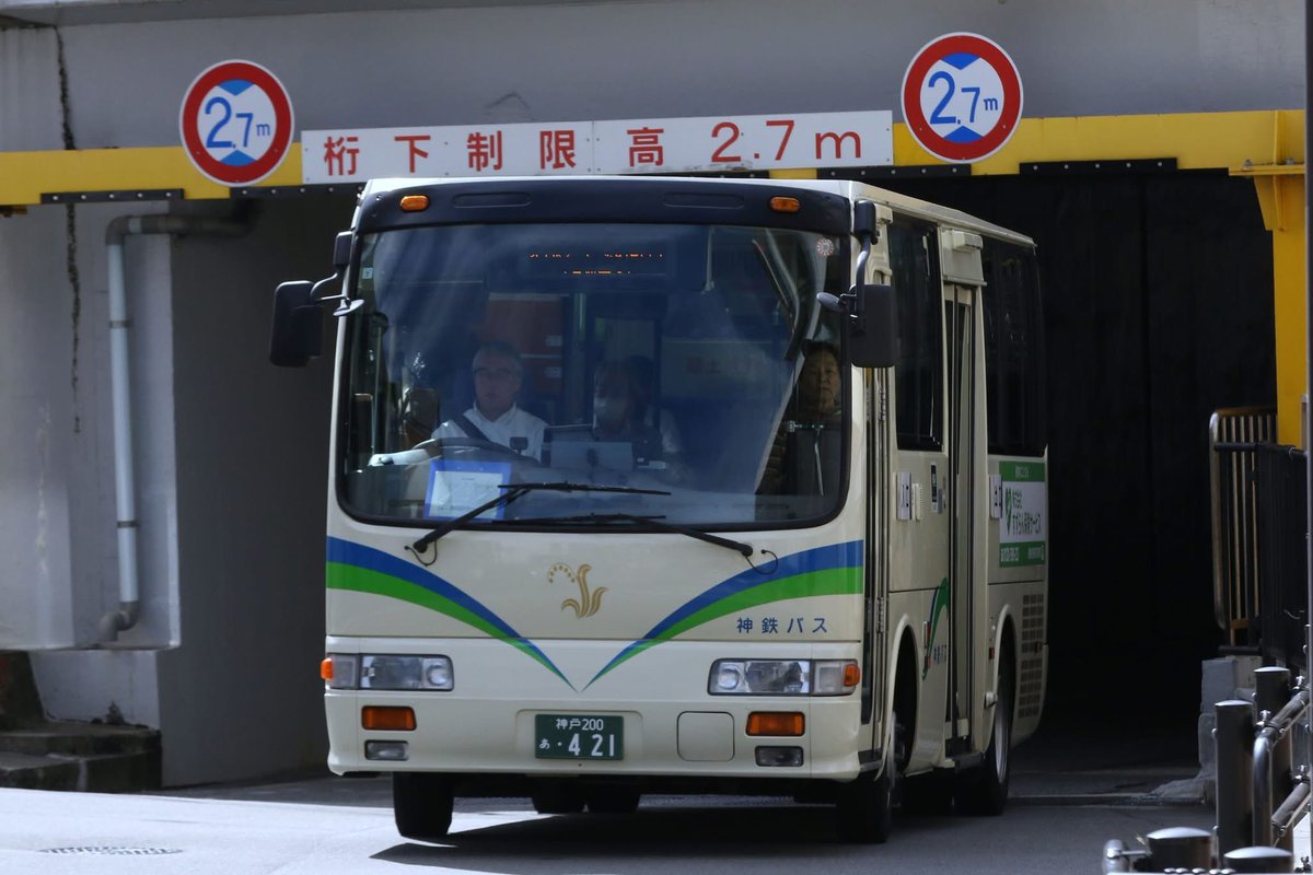 ぽんぽん (@dd51882) / Posts / X