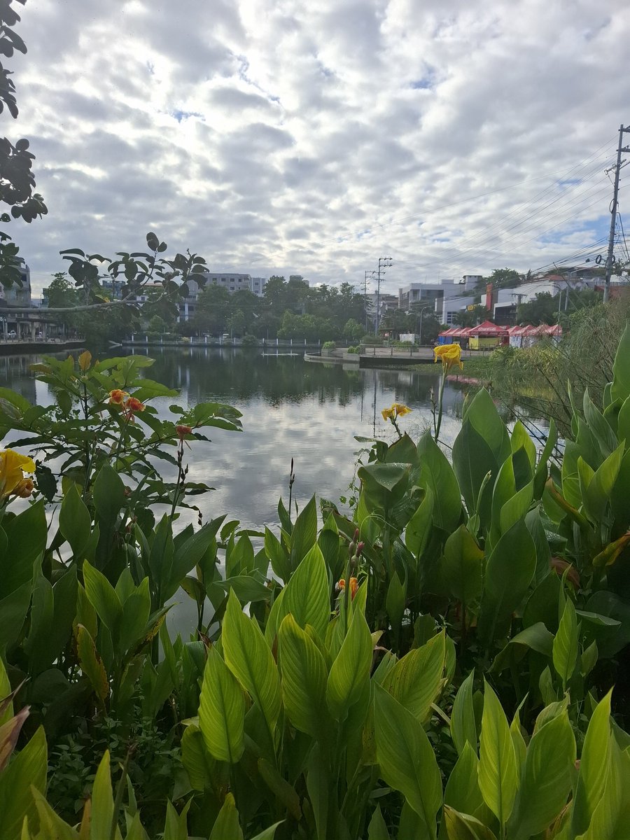 So serene...
#alrerboracay #alteraklan #alterroxas #alteriloilo #warang2