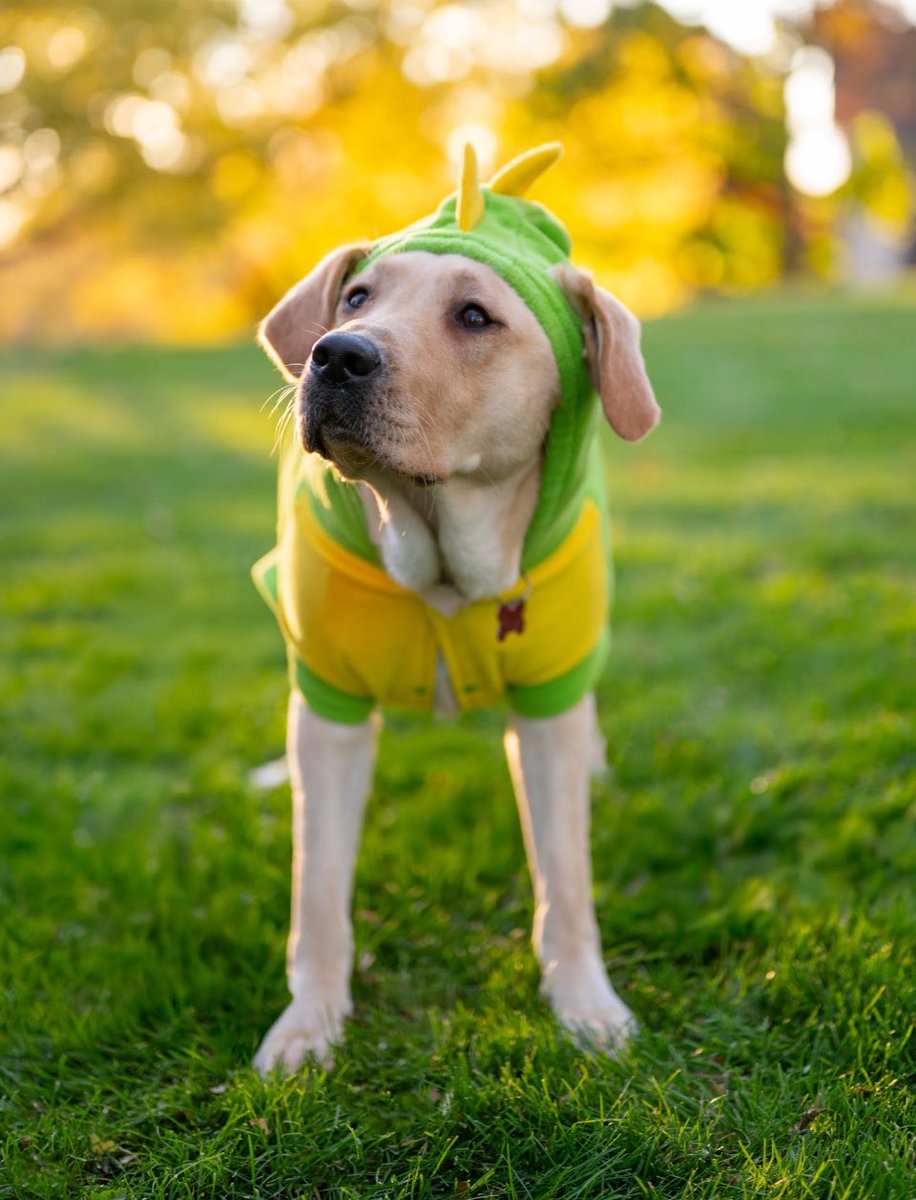 umElliee's tweet image. ueueueu