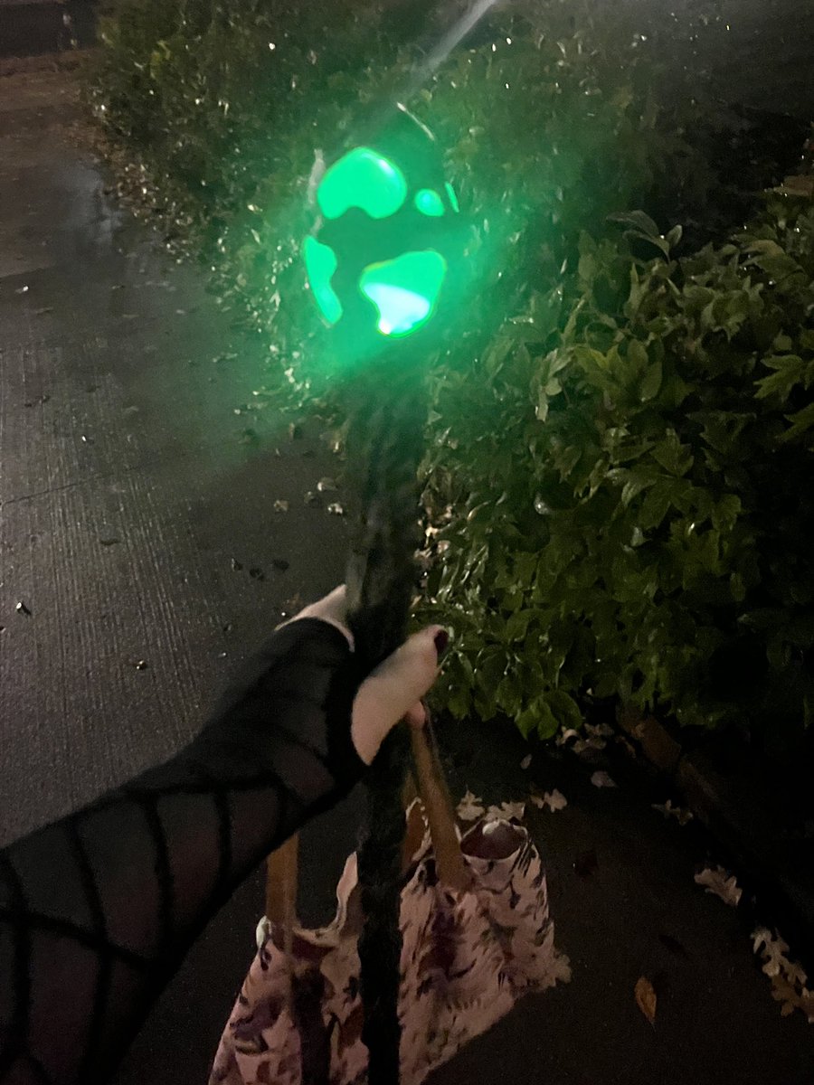 umElliee's tweet image. ueueueu