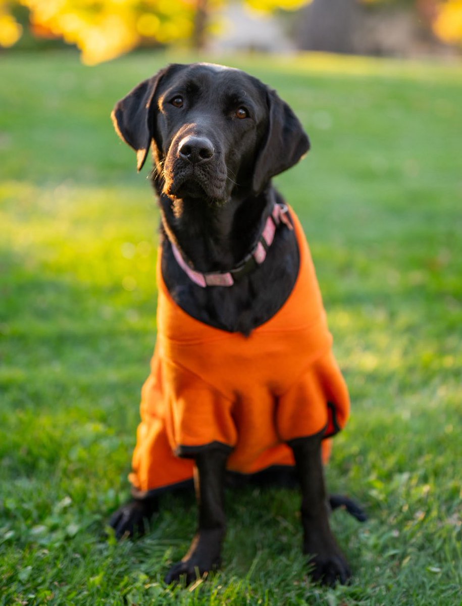 umElliee's tweet image. ueueueu