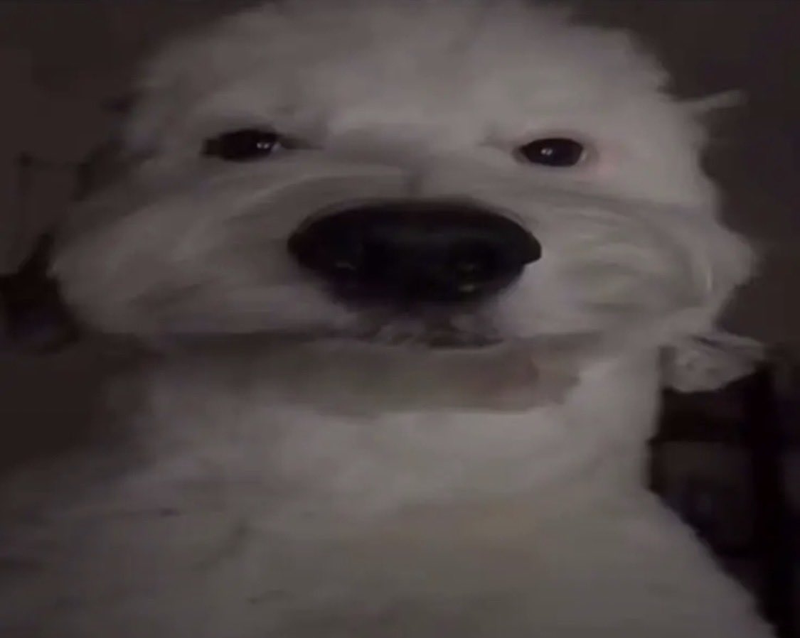 soapcuteness's tweet image. My ancestors who fought, starved, and suffered watching me crying over the death of a fictional character

#soap #soapmactavish