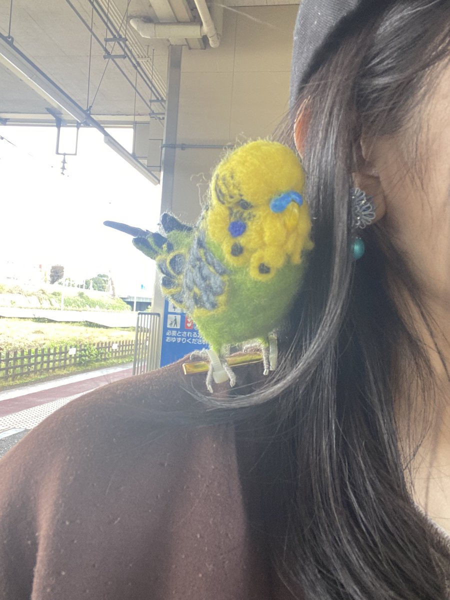 るりはるSHOP (@chopinliszt12) / Posts / X