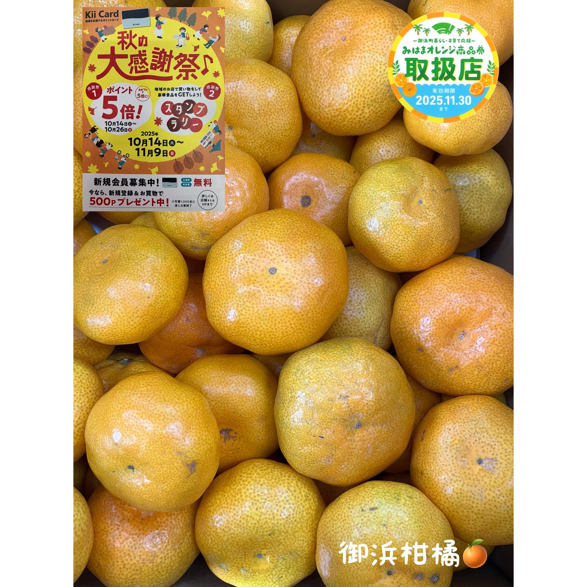 こだわりみかん”の御浜柑橘 on X