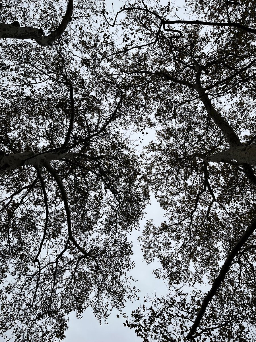 MadayLab's tweet image. Philly