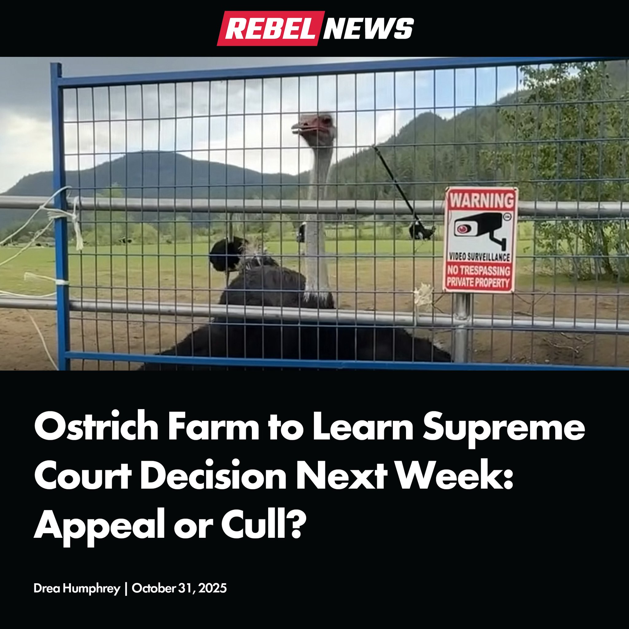 Rebel News (@RebelNewsOnline) on X