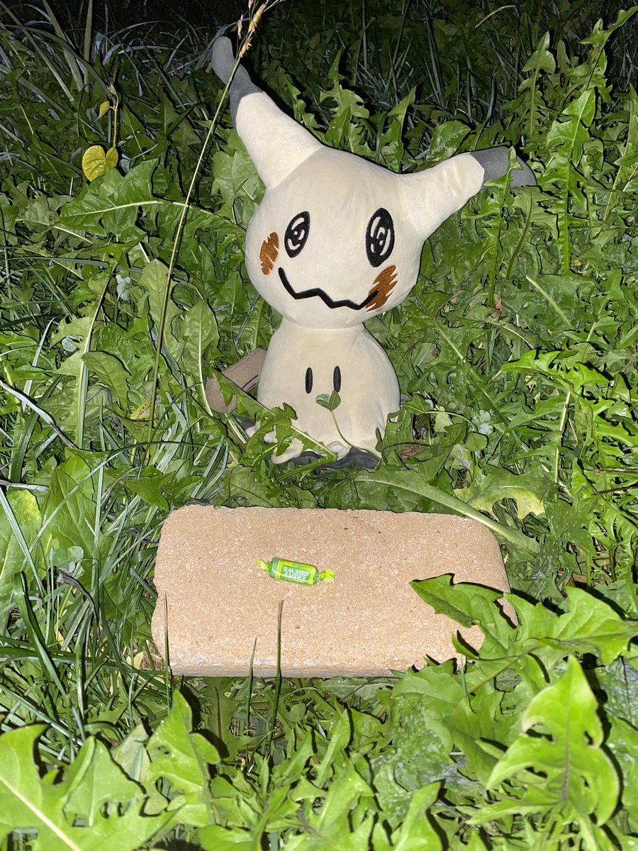 AllisterFan291 (@allisterfan291) on Twitter photo 