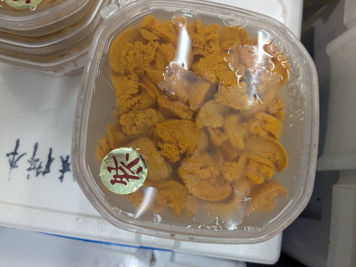 おさかなさんページ おさかなさんページ おさかなさん。🐟 (@osakanasan_12) / X