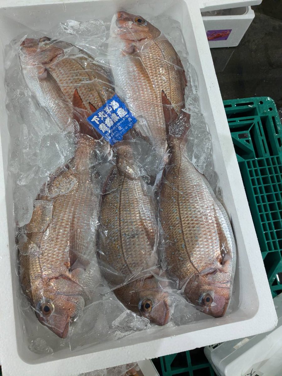 本店】武蔵境おさかな家さん南口店 on X