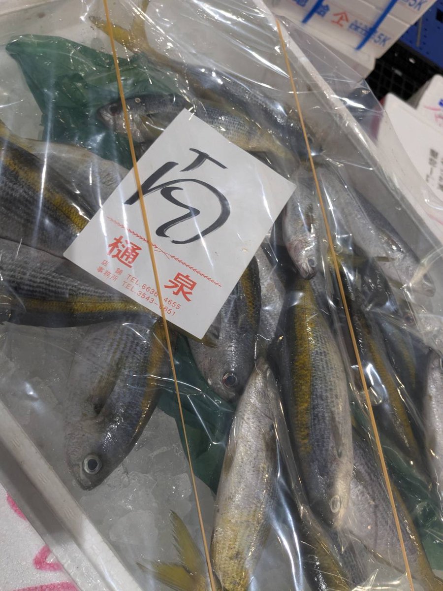 おさかなさんページ おさかなさんページ おさかなさん。🐟 (@osakanasan_12) / X