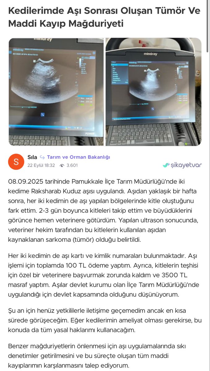 silaozyiilmaz's tweet photo. 27 Ekim 2025 tarihinde Kocaeli / İzmit Tarım ve Orman Bakanlığı’nda kedime yapılan Raksharab marka kuduz aşısı sonrasında yaşanan toksik reaksiyon sonucu, herhangi bir sağlık problemi bulunmayan 4.5 yaşındaki kedim aynı gün içinde saatlerce kusup gördüğü tüm tedavilere rağmen hayatını kaybetti.

Araştırmalarım sonucu, aynı aşıyı yaptıran birçok hayvan sahibinin benzer şekilde kedilerini kaybettiğini veya ciddi yan etkiler yaşadıklarını gördüm (örnek paylaşımları aşağıda görebilirsiniz).  
Veterinerimiz de bizden önce benzer vakalarla karşılaştıklarını ve durumu Tarım ve Orman Bakanlığı’na bildirdiklerini söyledi.

Ancak biz İzmit Tarım ve Orman Müdürlüğü’nü arayıp durumu ilettiğimizde,  
“Biz kimseyi buraya zorla aşıya getirmiyoruz, yan etkiler olabilir, söylememize gerek mi var,bilmeniz gerekiyordu.”  
gibi duyarsız bir yanıtla karşılaştık.  
Üstelik aşının menşei konusunda bile tutarsız bilgiler verildi — telefonda konuştuğumuz çalışan aşıların ithal olmadığını,Türk enstitülerinde yapıldığını söylerken, başka bir çalışan 15 yıldır Hindistan menşeli aynı firmadan alındığını ifade etti.  

Kuduz aşısı, Türkiye’de 5996 Sayılı Kanun gereği yasal olarak zorunlu bir uygulamadır.Böyle zorunlu tutulan bir uygulamada ihmalin ya da 
denetimsizliğin söz konusu bile olmaması gerekir.
Hiçbir can, yasal bir zorunluluk nedeniyle yapılan bir işlem sonucunda hayatını kaybetmemeli.Hayvan sağlığını ve sahiplerinin güvenini riske atan bu durum son bulmalı.

- Bu seri numaralı(01RAB02124) aşıların derhal toplatılması ve incelenmesi,  
- Belediyelerde ve Tarım Orman Müdürlüklerinde görevli personelin, hayvan sahiplerini olası yan etkiler konusunda önceden bilgilendirmesi konusunda harekete geçilmesi gerekiyor.

Bu sadece benim kedimin değil, birçok canın sesi.  
Lütfen bu konunun duyulmasına destek olun.  
@TCTarim  @kocaelibld @izmitbelediye @tc_cimer @ValiligiKocaeli 
#Raksharab #KuduzAşısı #TarımVeOrmanBakanlığı #HayvanSağlığı