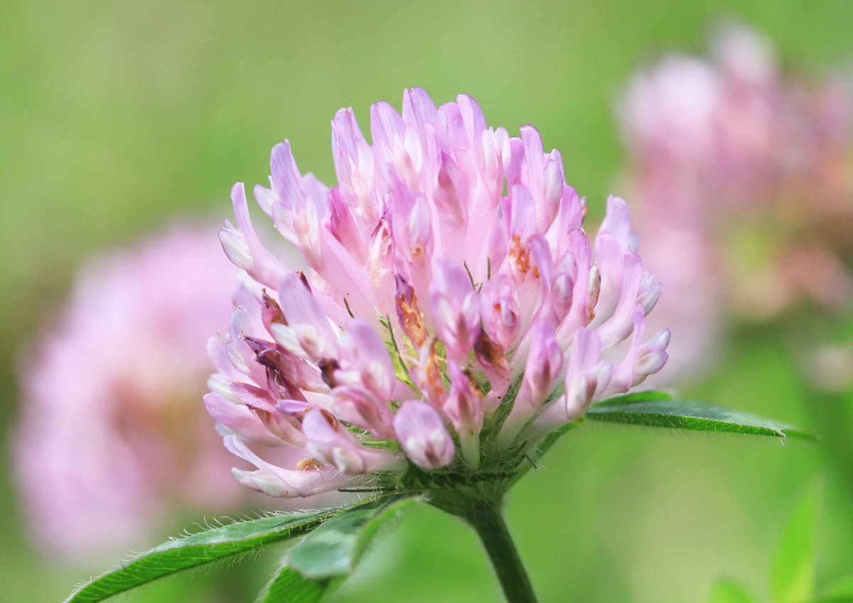 片柳弘史 tweet media