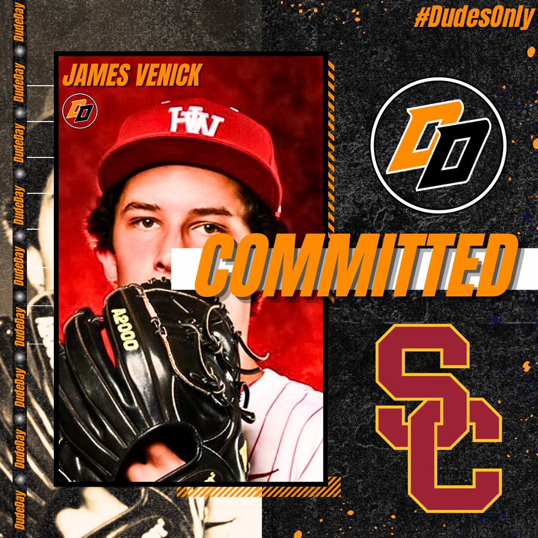 Dude Day Baseball Camps tweet media