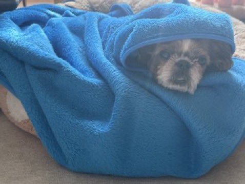 이만큼따뜻해지고싶다