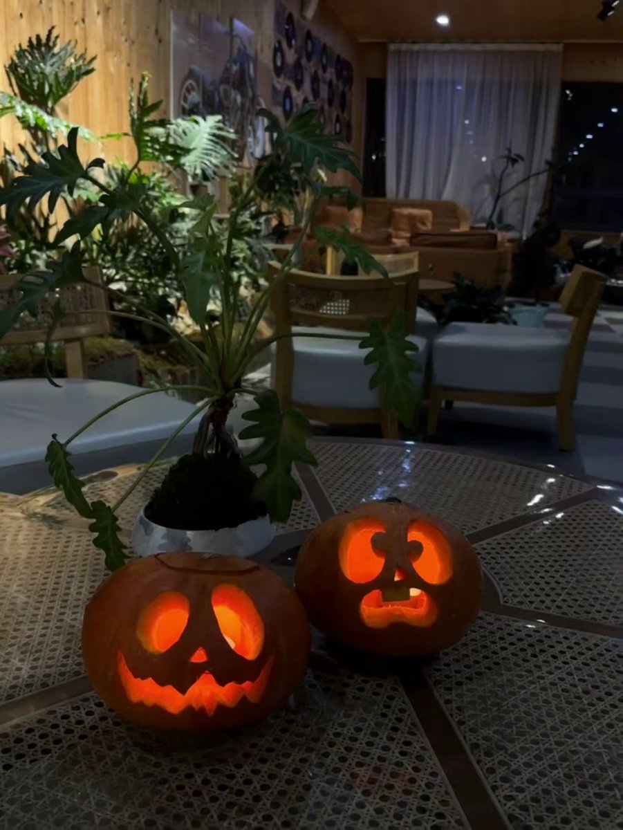 LucyLucylucylou's tweet image. This Halloween, let your jack-o’-lanterns do the talking! Set the mood with some creepy smiles or charming faces and let the light fill your home with Halloween spirit. 🎃🕯️
#JackOLanterns #HalloweenDecor #PumpkinVibes #SpookySeason