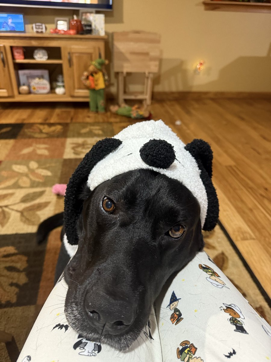 Happy Halloween! 👻🎃 
Good night! 💤