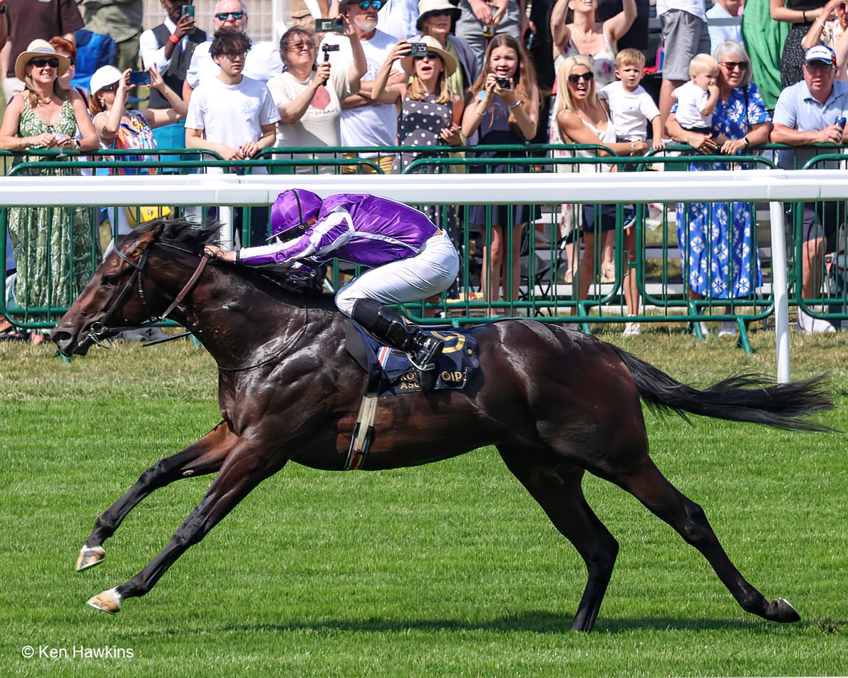 Oh yes. Stunning from Gstaad. New trip, wide draw, slow break, but outclassed them. Here is a picture taken as he won at Royal Ascot earlier this year. Congratulations to Aidan O' Brien on a record number of victories at the Breeders' Cup. #breederscup