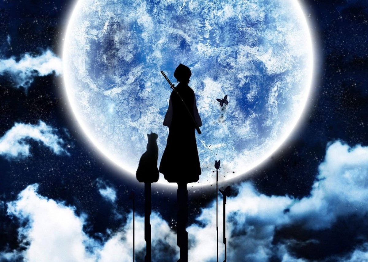 Timothy&Sebastian tweet media