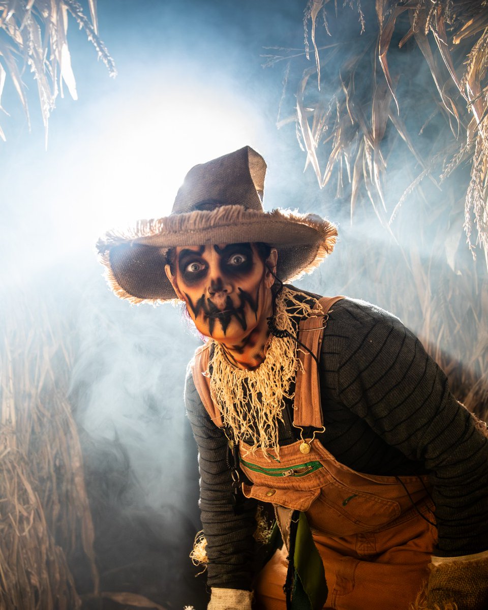 cedarpoint's tweet photo. Happy #Halloween from all of our creepy characters, ghouls, goblins, ogres and pumpkin heads at #CedarPoint.
It's our final 2025 #HalloWeekends weekend presented by SNICKERS®. The time is now to rise from the grave and enjoy the creepy frights by night and spooky fun by day. https://t.co/984bBZ5AsP
