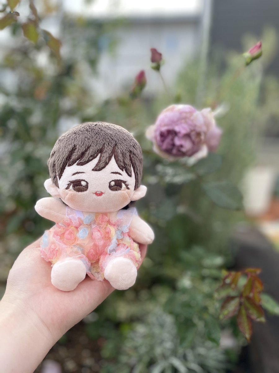 shookoページ kotohayokozawa】BI-COLOR VELOR PULLOVER｜CONVERSE TOKYO