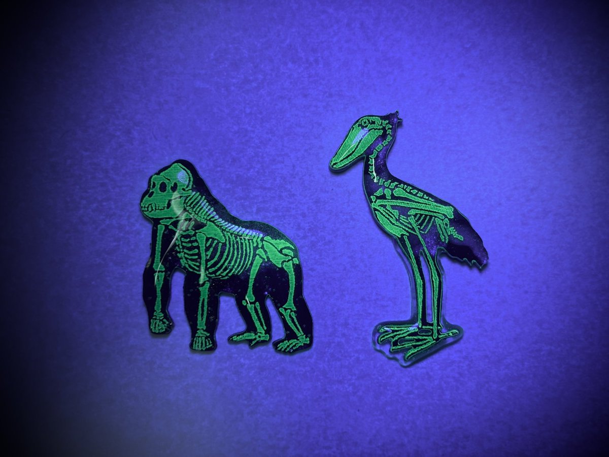 星の方舟 ちばZOOフェスタ on X