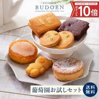 クッキーページ フードロス削減 コロナ支援【公式】 on X