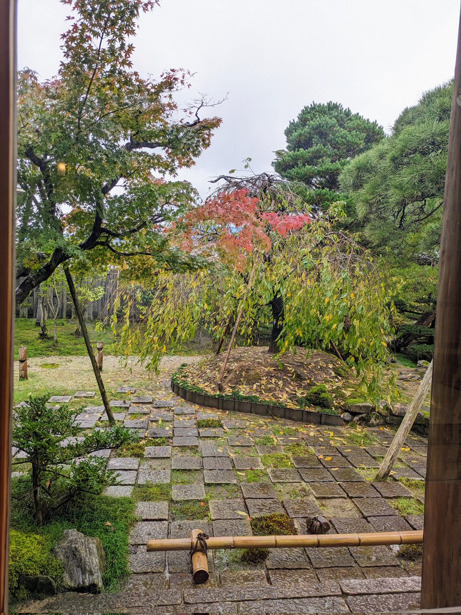 #茂庵の紹介

おはようございます
今月から11月です。どうぞよろしくお願いします🙇

そして3連休初日はあいにくの雨ですが紅葉が進みそうですね✨

本日もみなさまのご来庵心よりお待ちしています☕