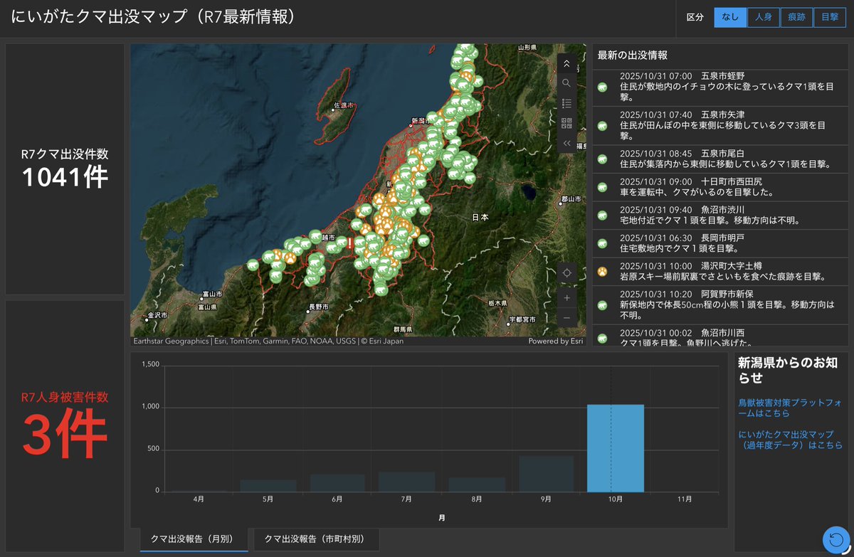 10月の新潟県の熊出没件数が出ました。 1041件 ついに一月1000件を超え