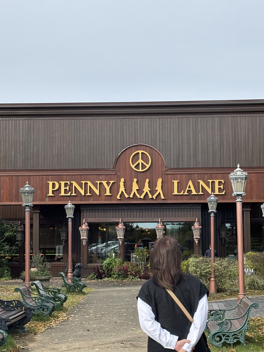 超希少美株︎‪！ソテツ斑入り現品限り 新葉が開いたら写真をアップします⤴ KENZO (@fw_kenzo) / Posts / X