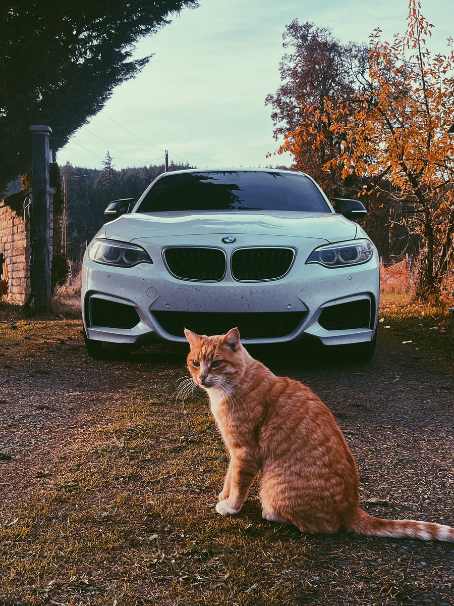 Happy Halloween 🎃🦇