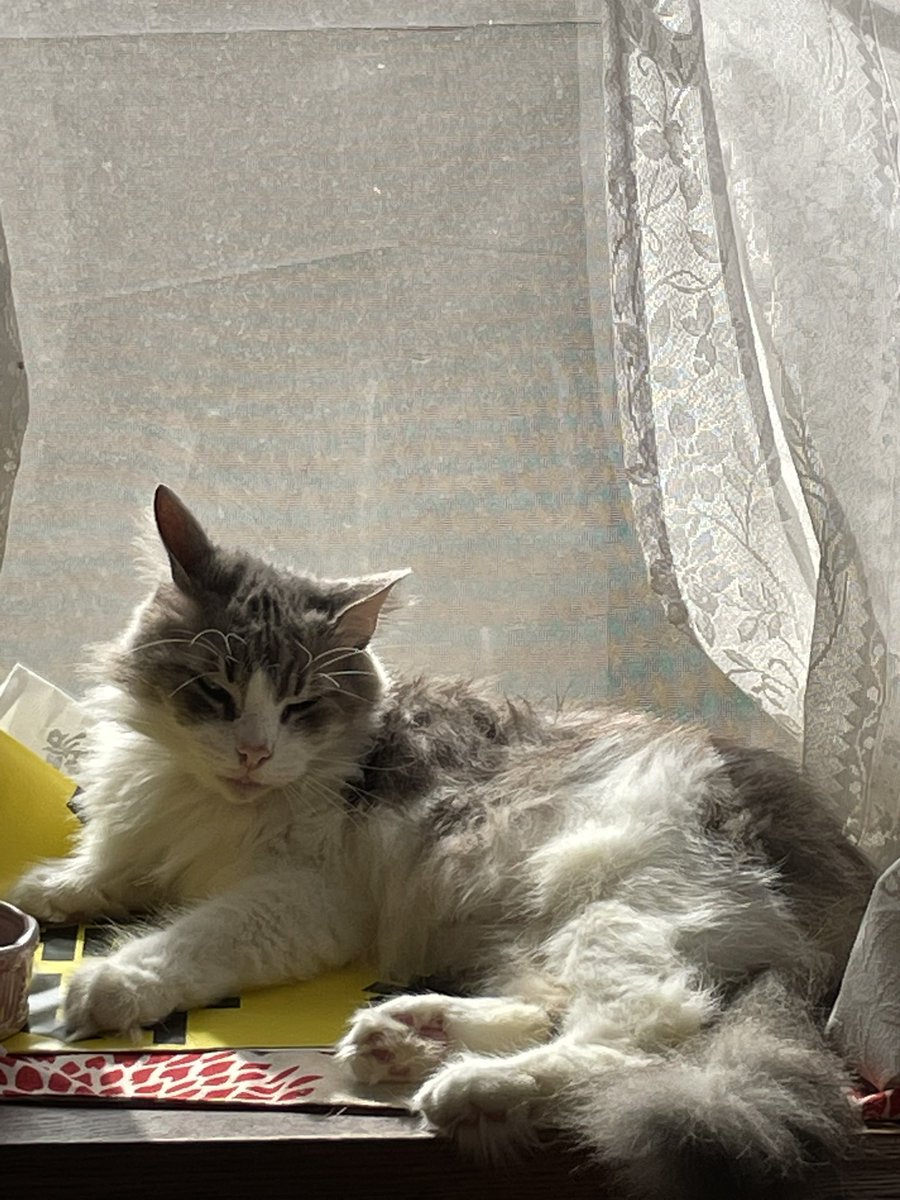 鈴木信行 葛飾区から日本を守る！ on X