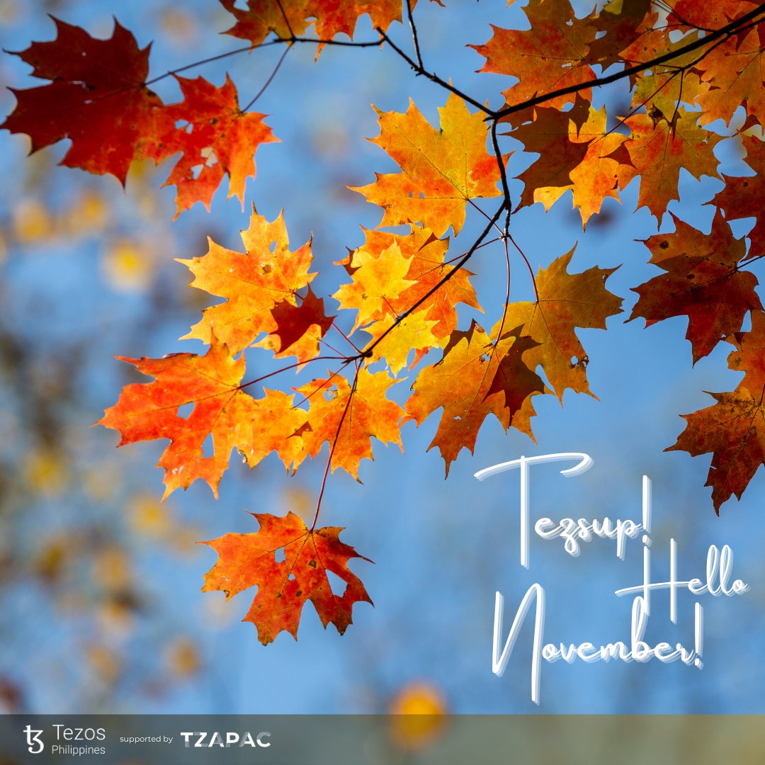 TezosPHL's tweet image. 🎉 TEZsup!

🍂 New day!
🍂 New month!
🍂 Happy month of November!

#Tezos #TzApac #Etherlink